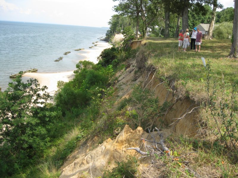 Image of Northern Neck Extension Master Gardeners discuss shoreline maintenance with homeowners.