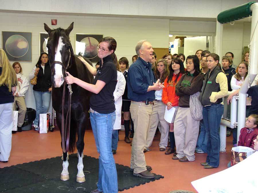 Dr. Mark Crisman, a professor in the Department of Large Animal Clinical Sciences, explains the benefits acupuncture can offer equine patients to a group a visitor's during the college's 2007 Annual Open House.