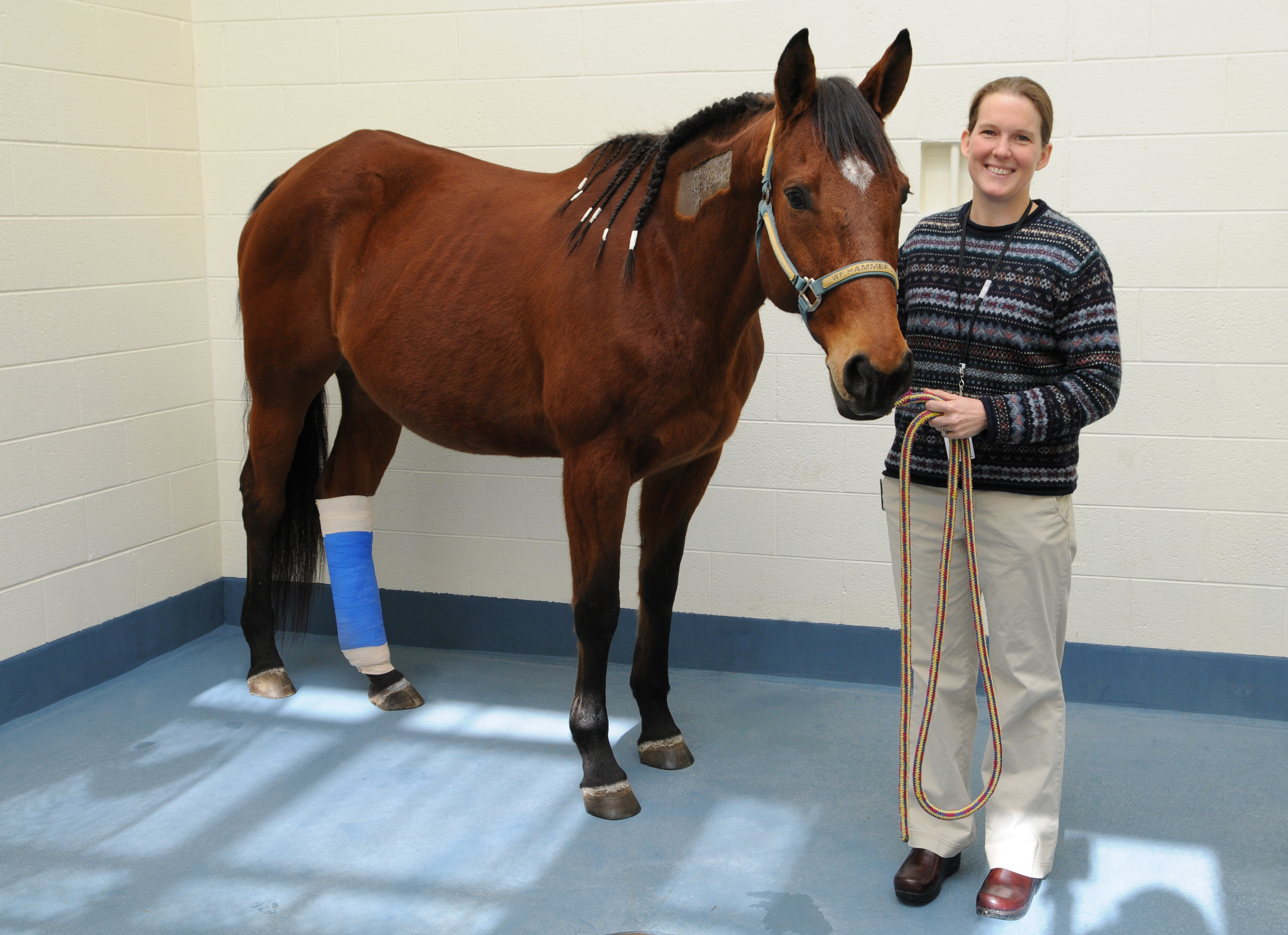 A recent donation in memory of 15-year-old Hannah George was used to help "Gracie," a therapy horse for abused, neglected and un-wanted children. Gracie is pictured above with Dr. Julie Settlage who assisted with her treatment.