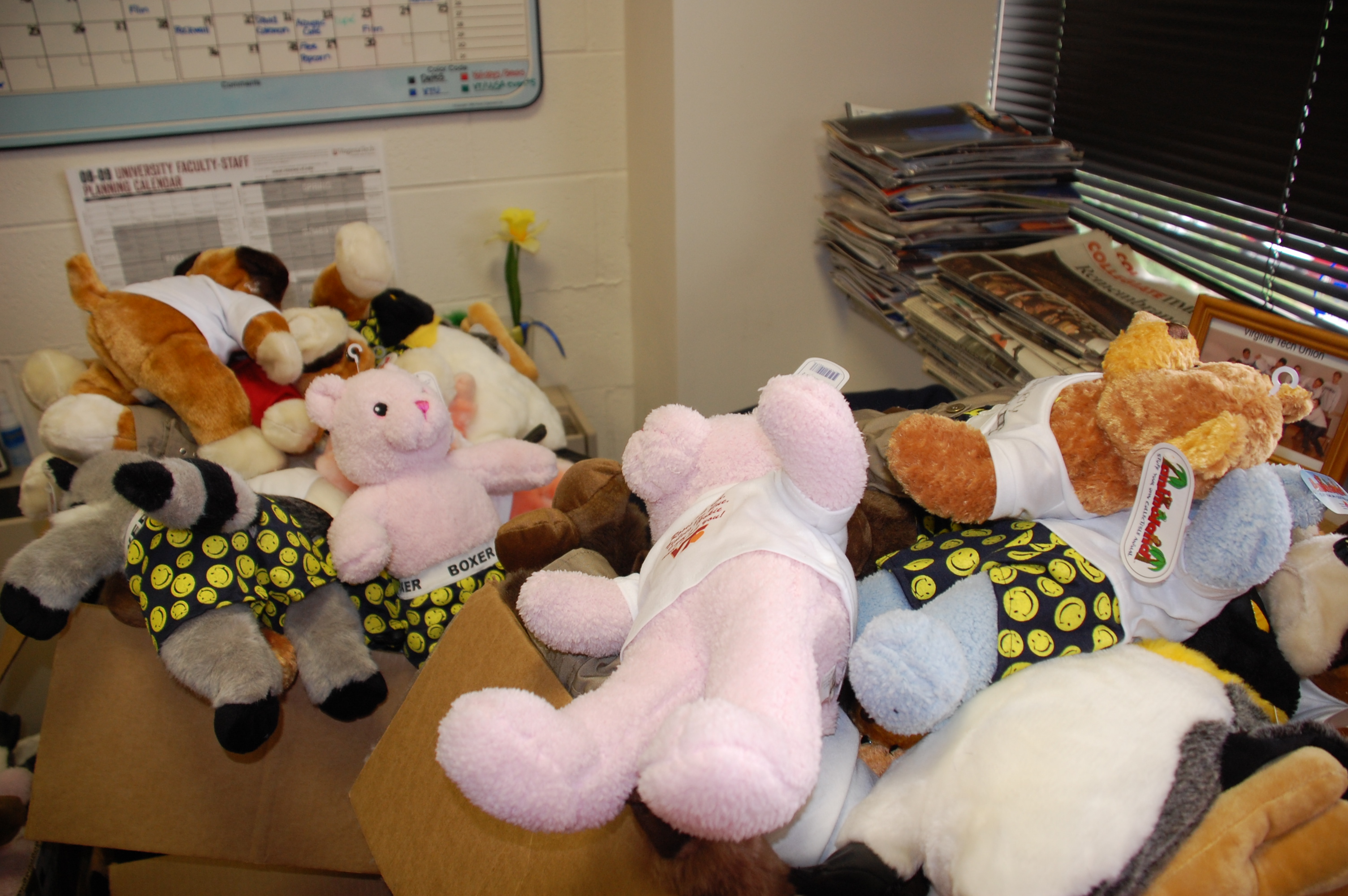 More than 125 stuffed animals are on their way to new homes, thanks to the Virginia Tech Union and NRV Cares.