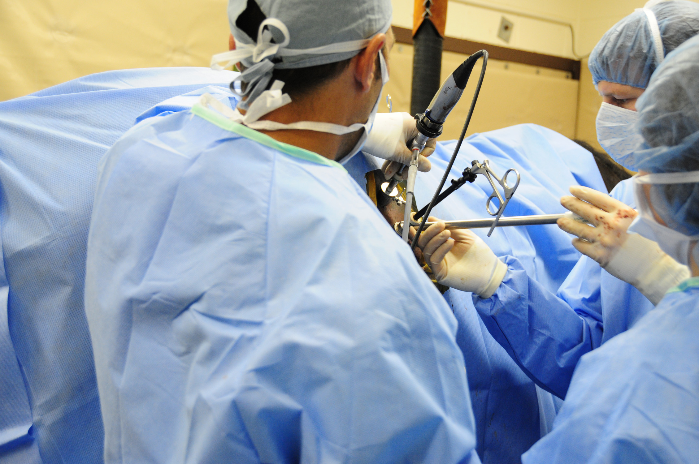 Dr. Norrie Adams, left, performs a laparoscopic ovariectomy with the assistance of Dr. James Brown.