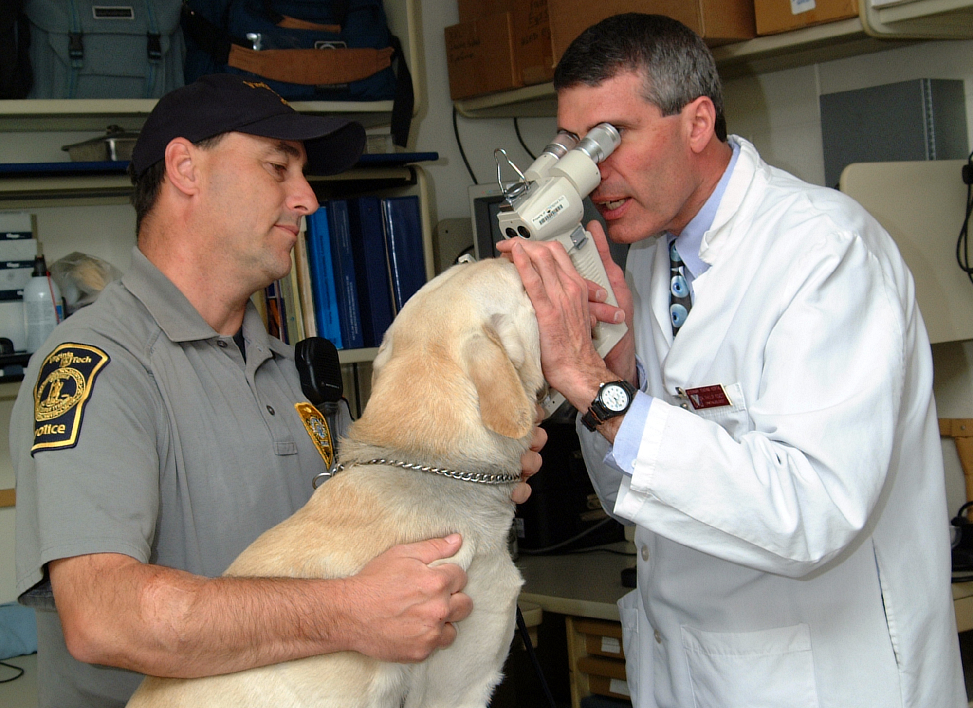 Dr. Pickett performs ophthalmology examination on service dog. 