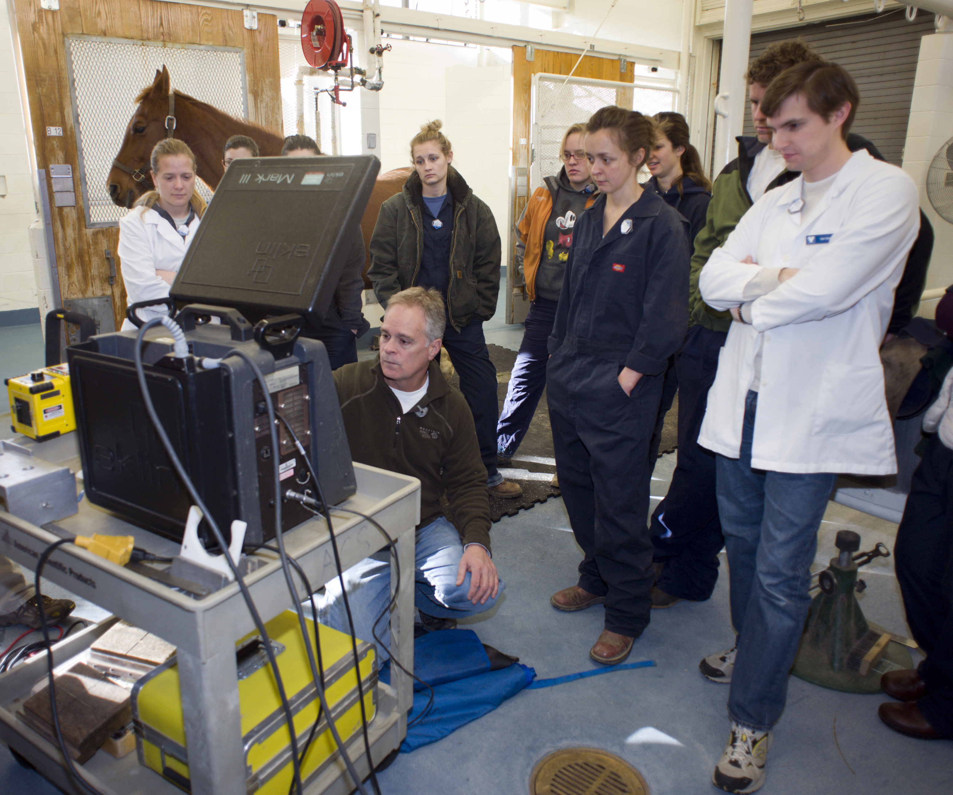 Members of the Equine Field Service team use the latest technology in diagnosis and treatment of horses.