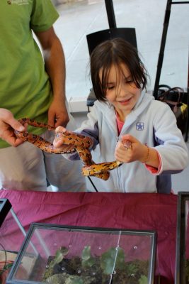 Fralin Life Science Institute researchers told about reptiles and amphibians at the Virginia Tech University Open House.