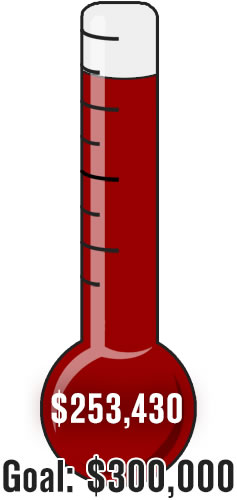 Thermometer illustration that shows donations as compared to the goal.