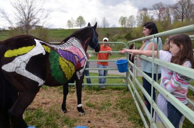 Painted horse at veterinary college's Annual Open House