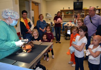 Teddy Bear Repair Clinic at veterinary college's Open House