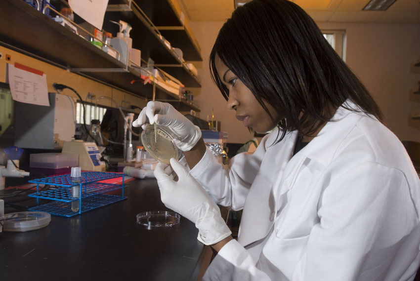 A student works in the lab.