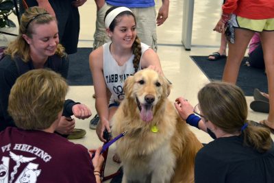 Therapy dog at Newman Library
