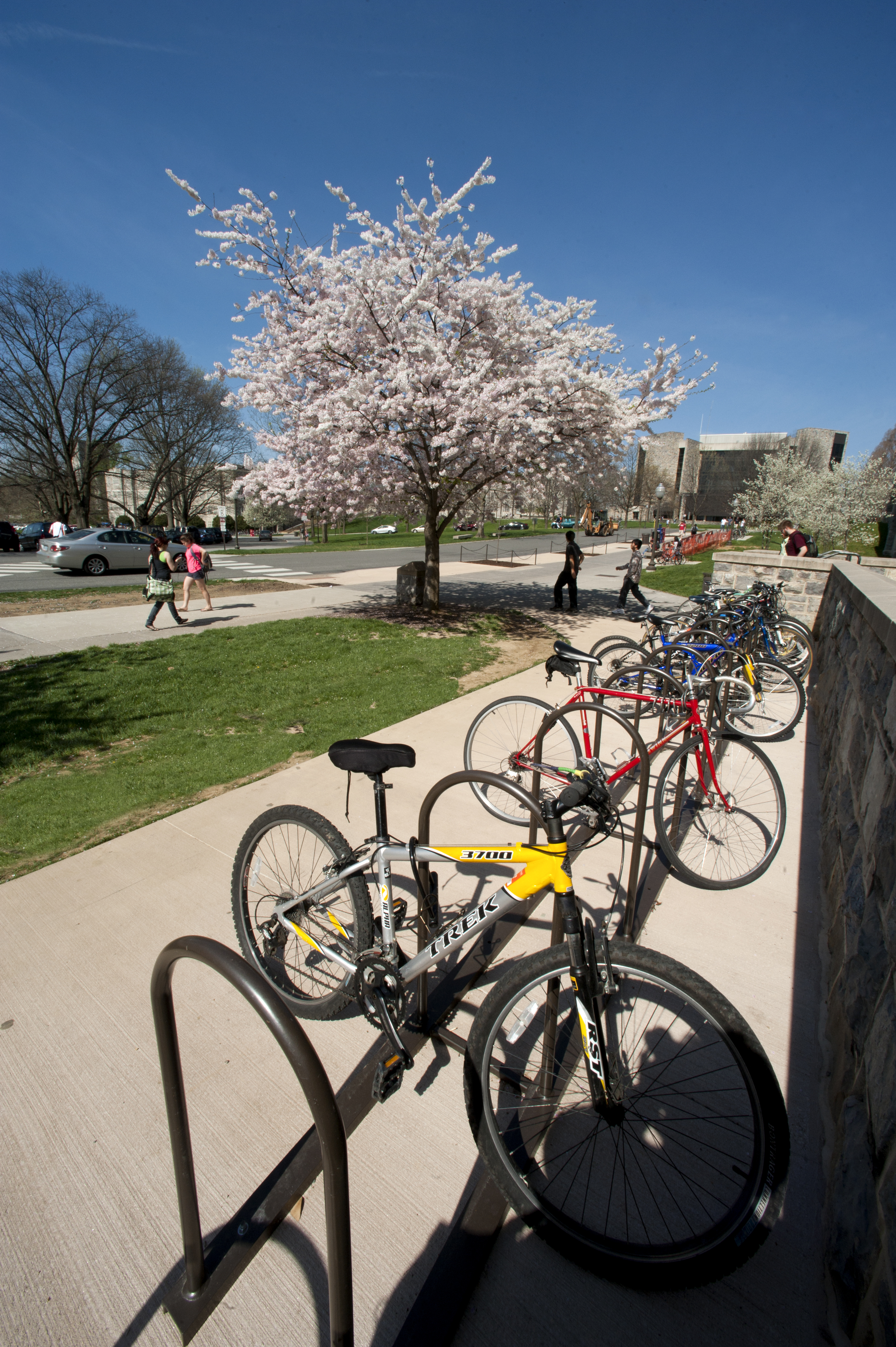 Bicycles chained to rack outside of Torgersen Hall