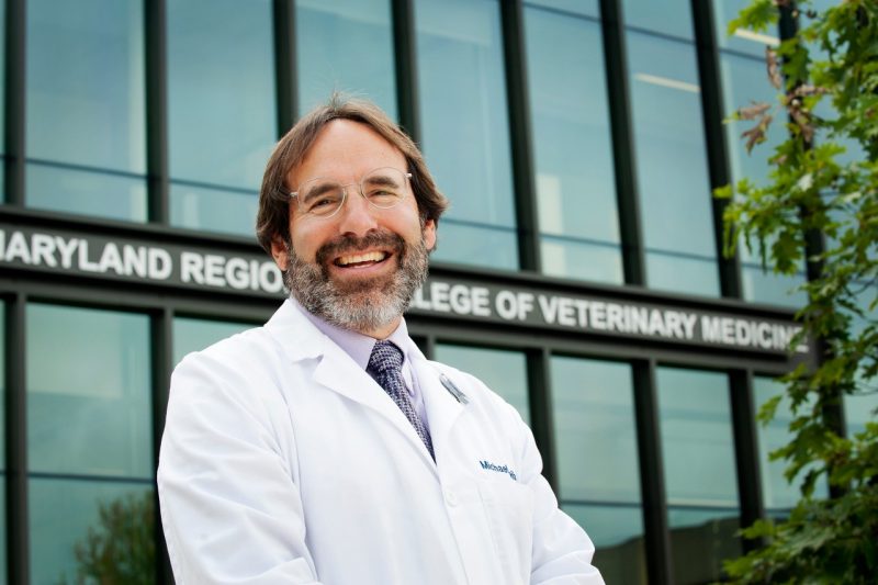 A portrait of Michael Leib, professor of internal medicine in the Department of Small Animal Clinical Sciences in the Virginia-Maryland College of Veterinary Medicine at Virginia Tech