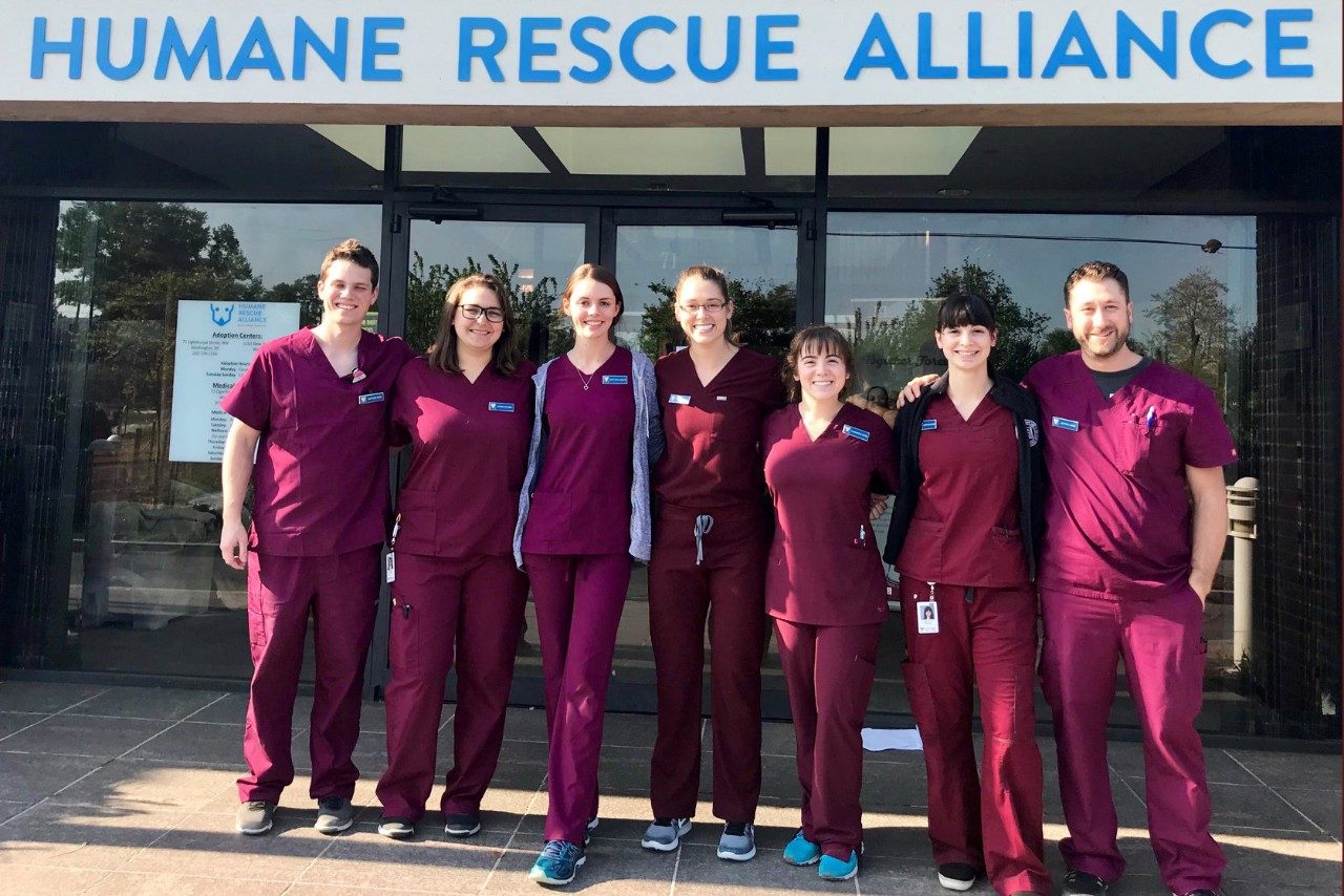 Vet students on rotation at Humane Rescue Alliance in Washington, D.C.