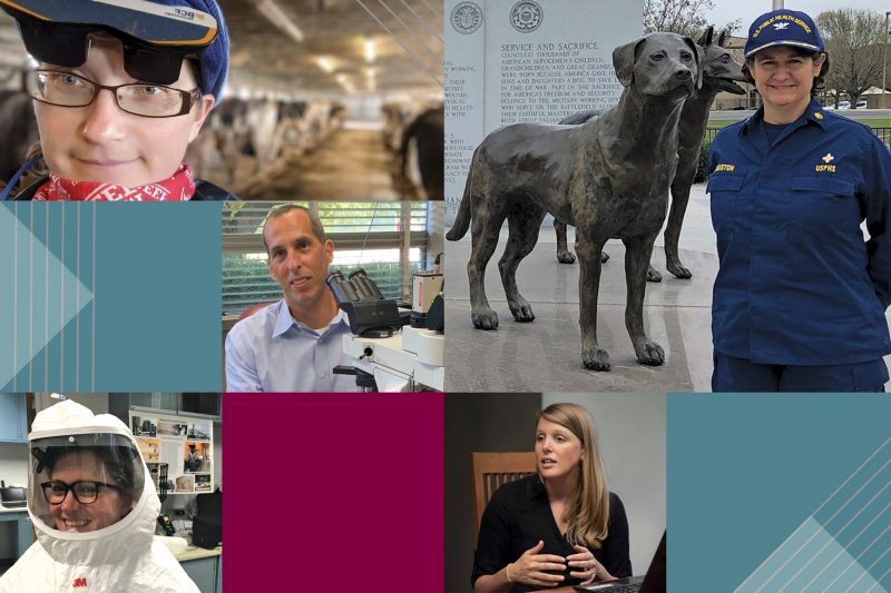 Virginia-Maryland College of Veterinary Medicine alumni respond to the COVID-19 pandemic