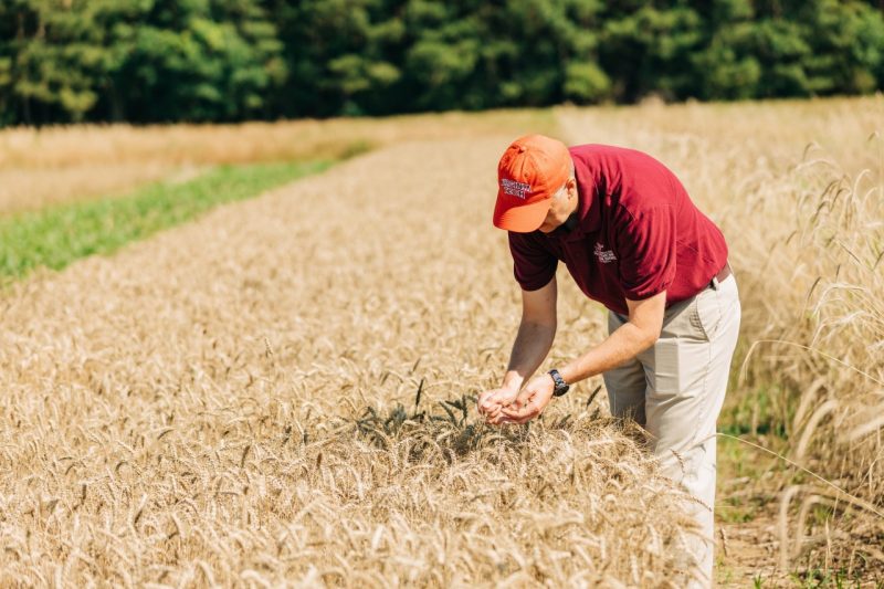 Man in orange hat and maroon polo standing in a field