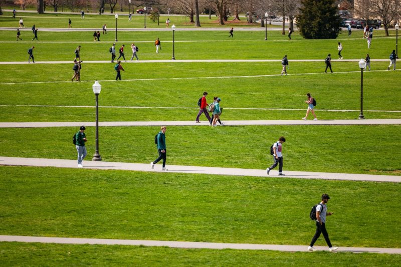 Students walk along various paths on the Drillfield to cross the Blacksburg campus. 