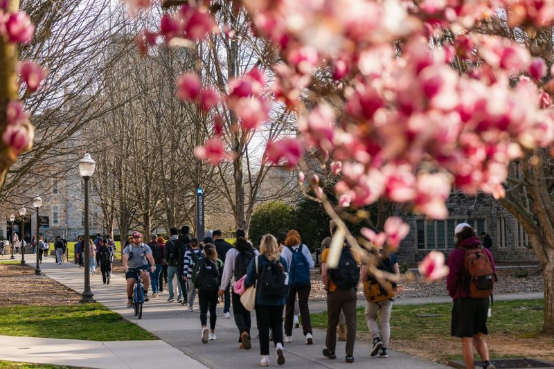A group of students walk towards a building on the Blacksburg campus on an early spring day. 