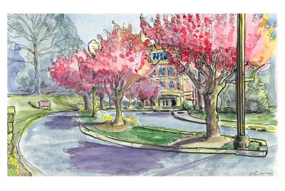 Ink and watercolor sketch of a series of cherry trees with pink blossoms along the entrance to the Inn at Virginia Tech
