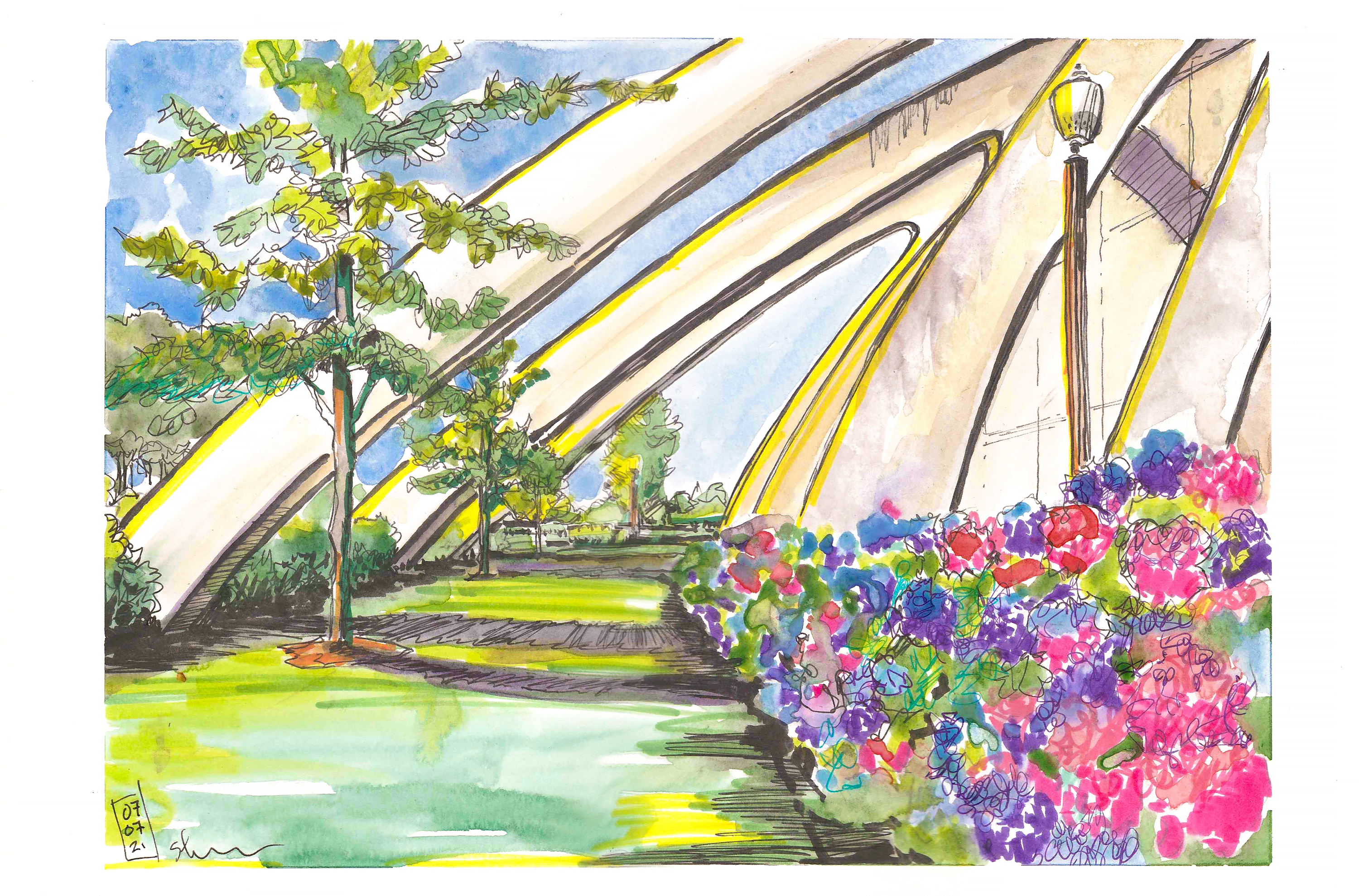 Sketch in ink and watercolor of hydrangea outside cassell coliseum
