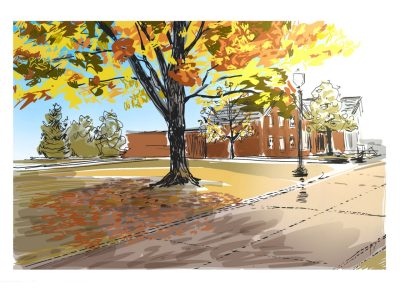 Digital sketch of the last of fall foliage along Henderson Lawn and Alumni Mall 