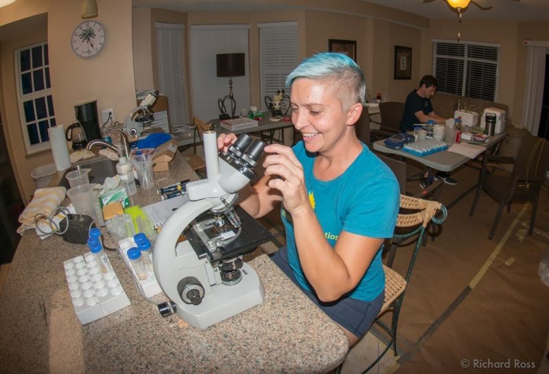 Veterinary professional looking into a bio microscope.