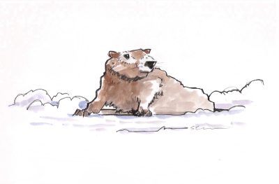 Happy Groundhog Day (00108) -- Appeared on Feb. 2, 2021