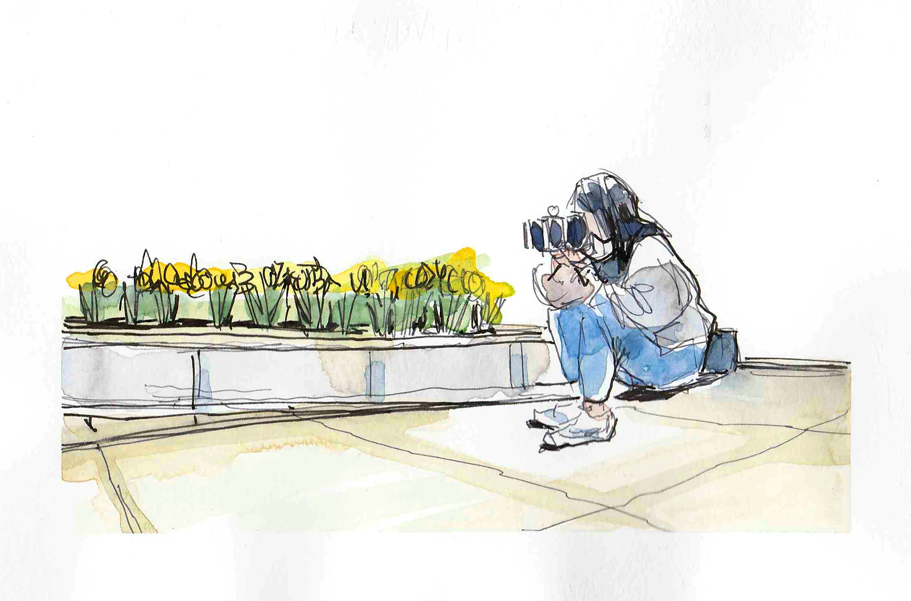 Fifth year architecture student Jiaying Chen photographs daffodils outside Hancock Hall (00167)