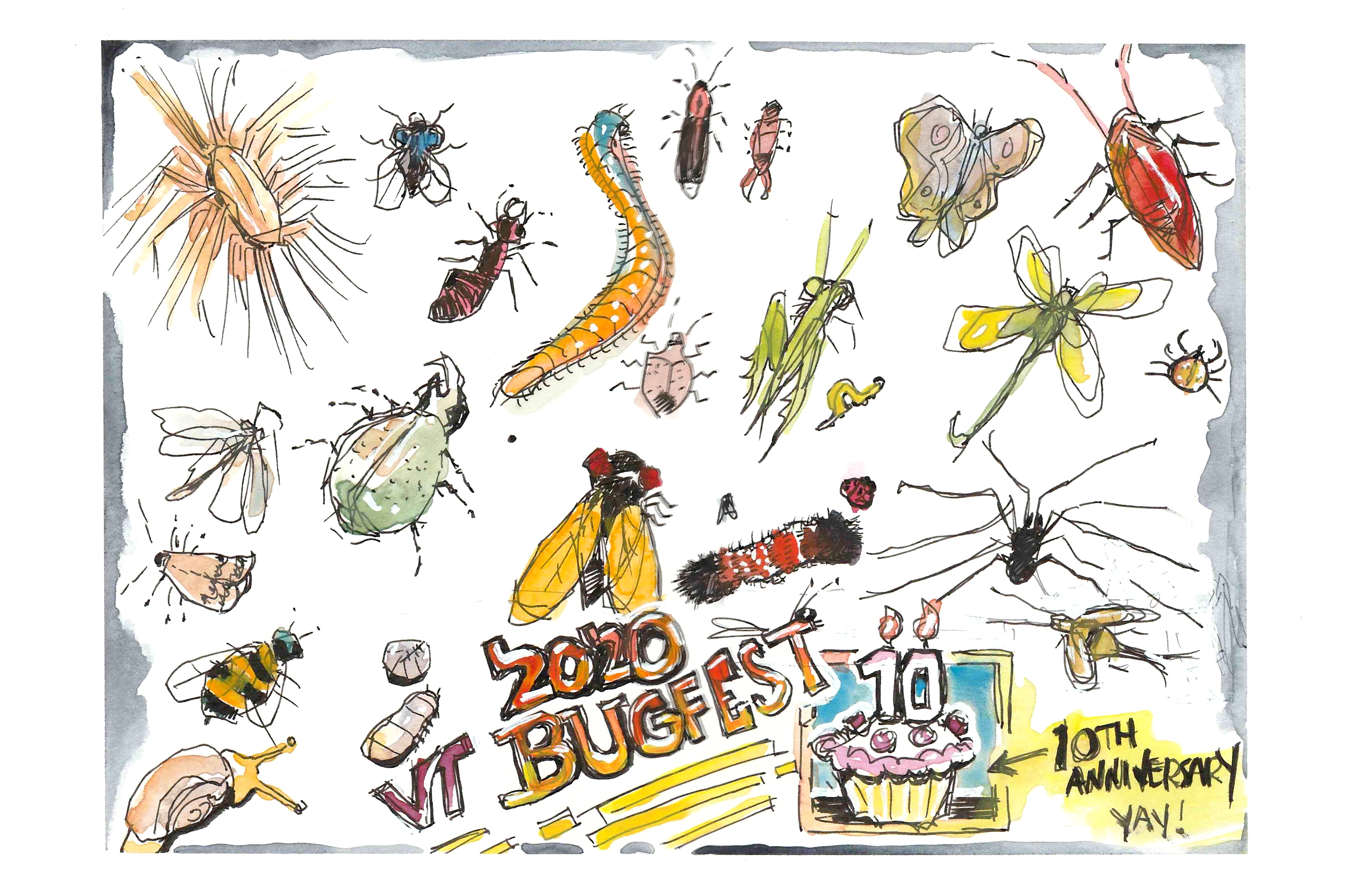 2020 Virginia Tech Bugfest -- Appeared on Oct. 13, 2020