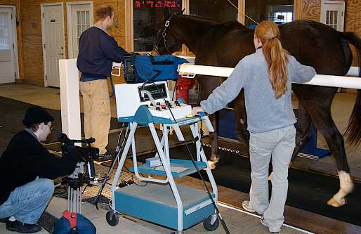 A patient undergoes gait analysis