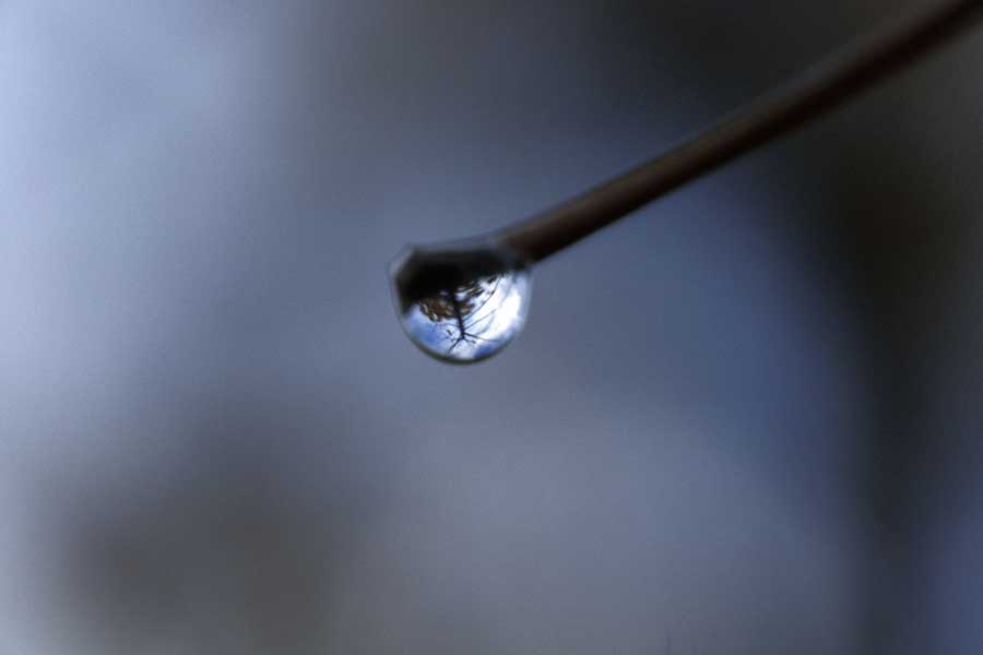 One drip of water per second can waste more than 8 gallons in a day.