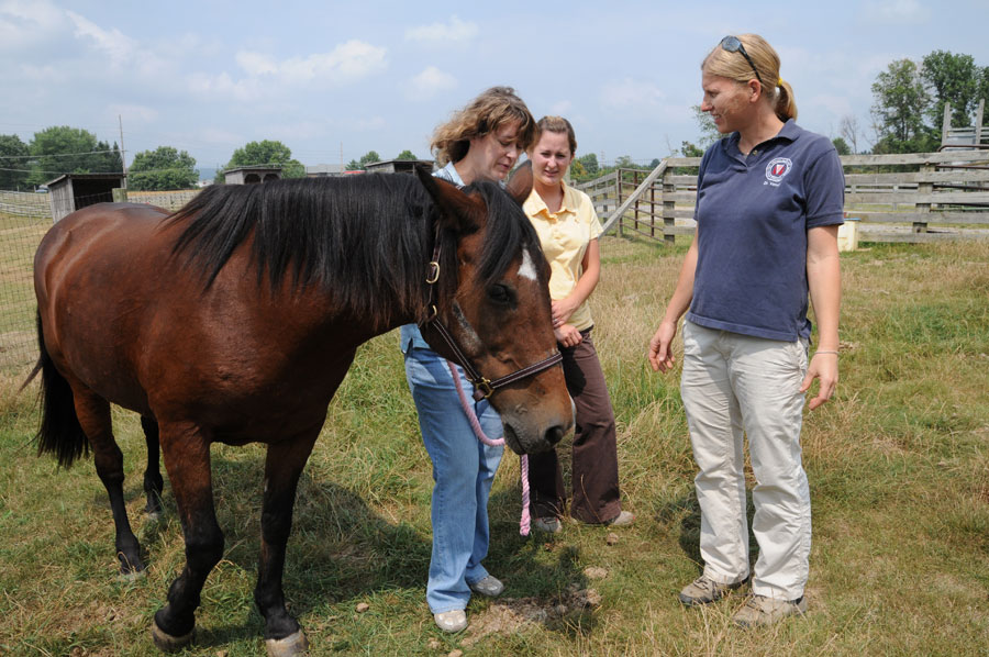 Dr. Marlice Vonck (right), a faculty member in the Virginia-Maryland Regional College of Veterinary Medicine, turns over the reins of Sugar to Shalyn Crawford, a member of the college's Class of 2010, and her family.