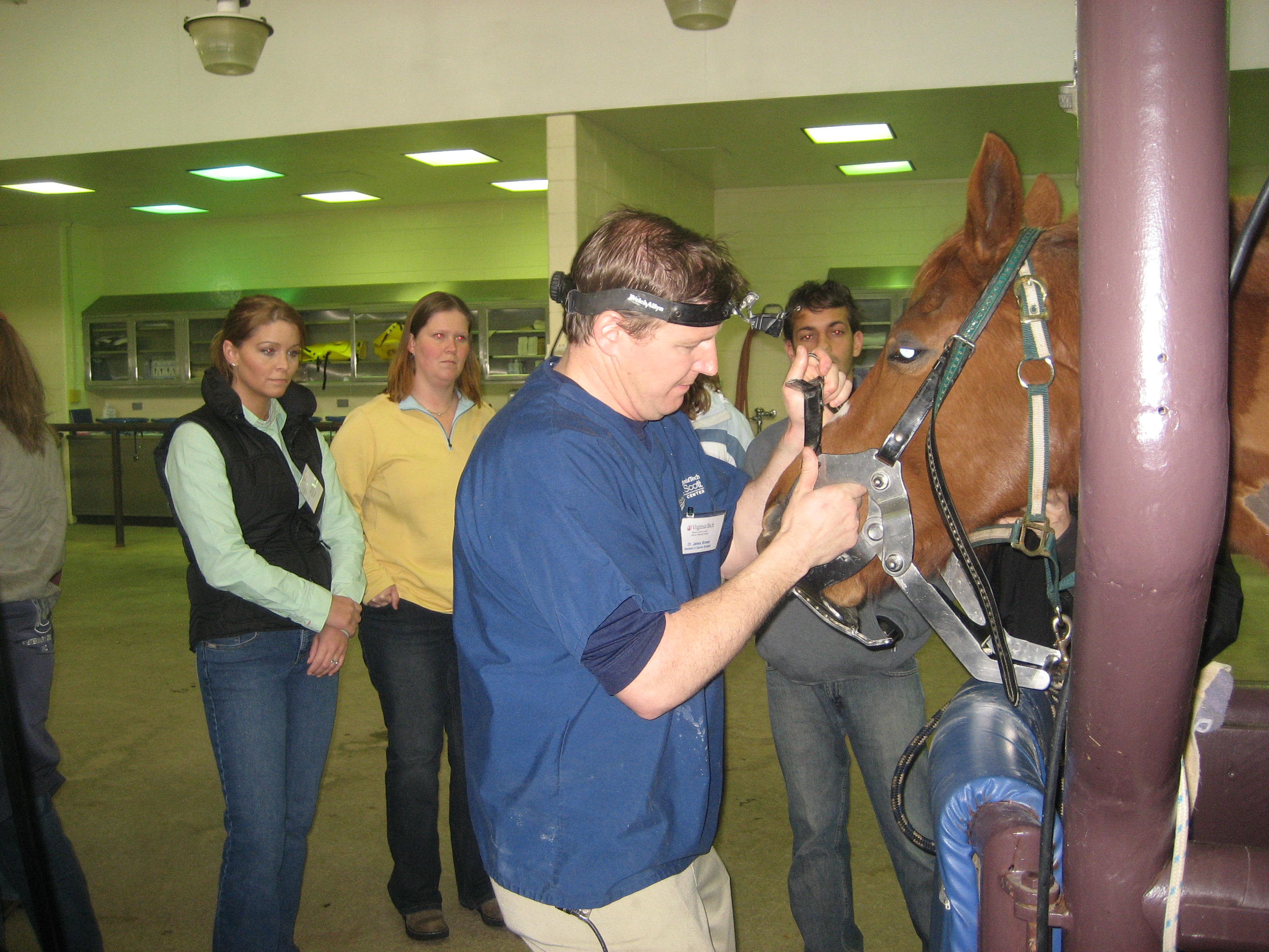 Veterinary technicians attend the wet lab on dentistry presented by Dr. James Brown.