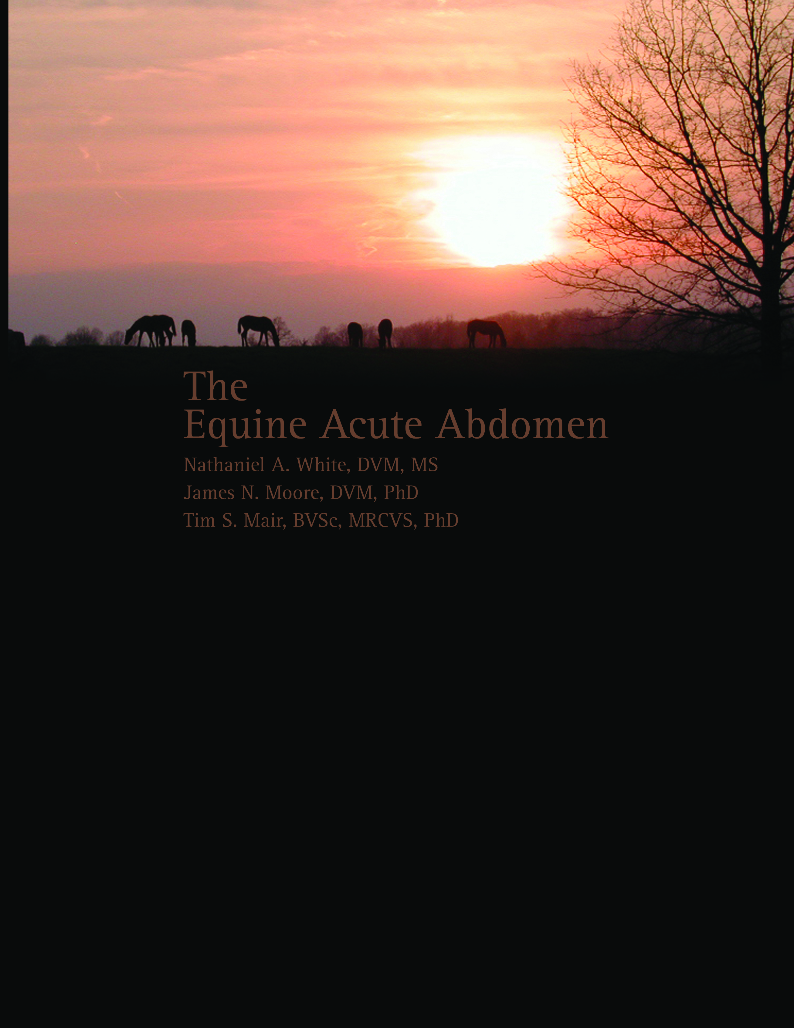 The Equine Acute Abdomen book cover