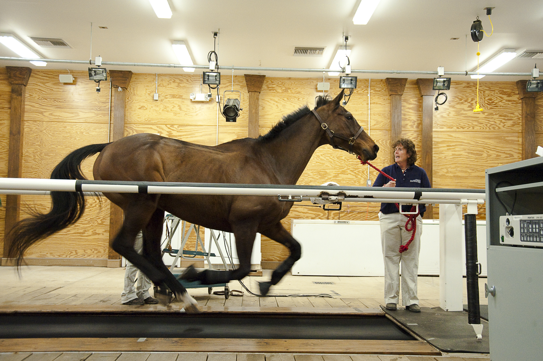 Demonstrations scheduled for the June 13 open house at the Marion duPont Scott Equine Medical Center include showing how horses are diagnosed for possible respiratory or cardiac problems by having them run on the center's high-speed treadmill.