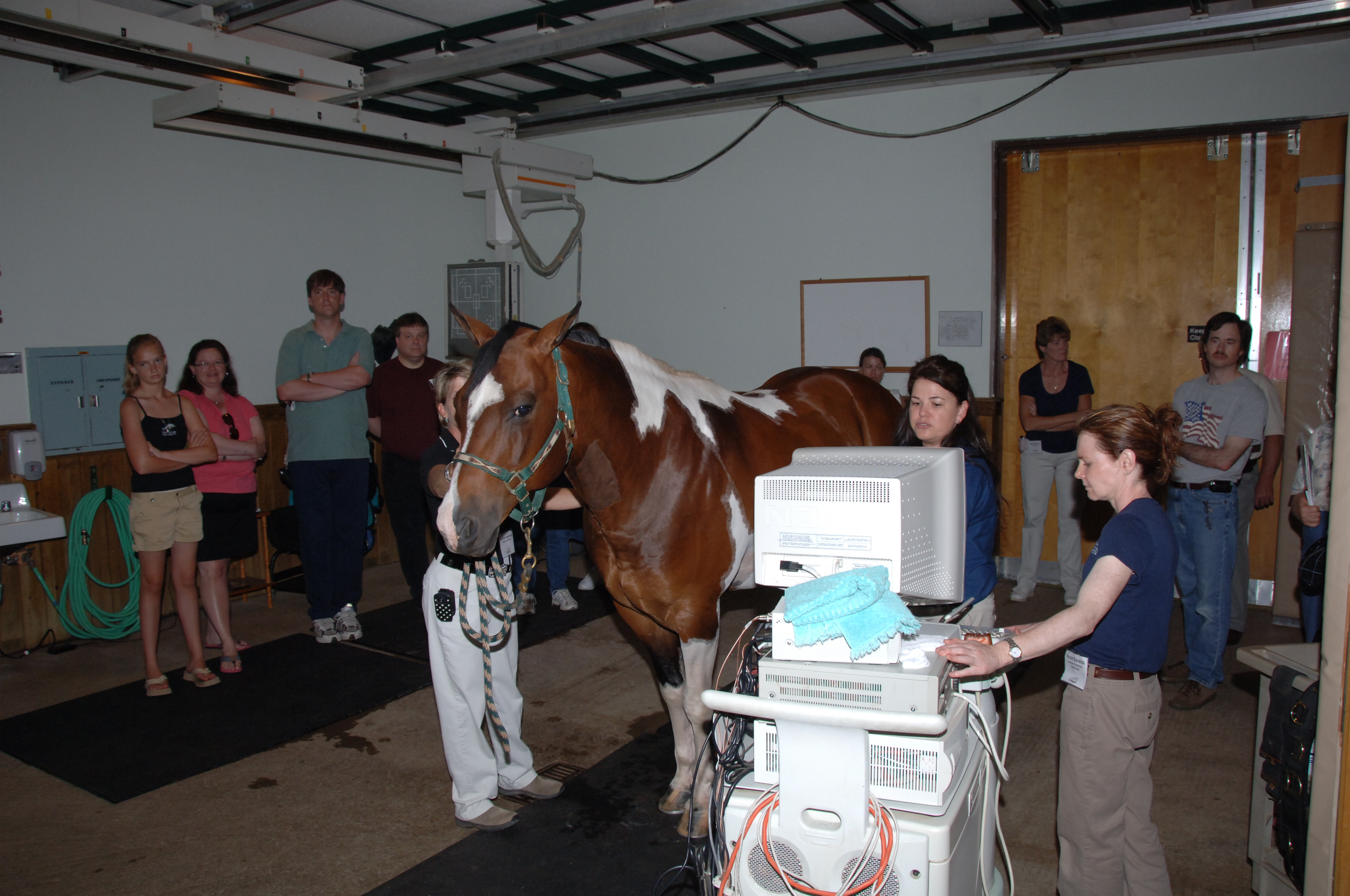 Some of the visitors to the equine medical center's recent open house are able to see how Dr. Anne Desrochers uses state-of-the-art ultrasound equipment to identify health problems in a horse.