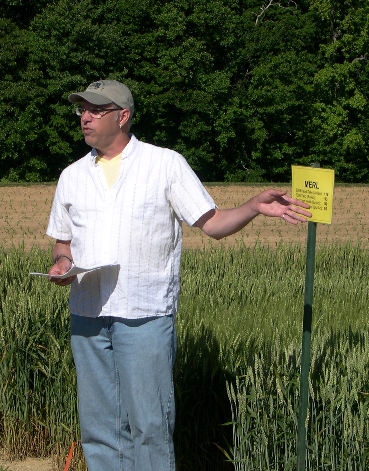 On May 21, Carl Griffey introduced Virginia seed producers to “Merl” – a wheat variety developed for improved milling and baking quality and mildew resistance – at a field day in Mt. Holly, Va. The Eastern Virginia Agricultural Research and Extension Center, Virginia Grain Producers Association, and Virginia Crop Improvement Association sponsored the event. It included recognition of Griffey by the Virginia Agribusiness Council for his contributions to Virginia's wheat and barley