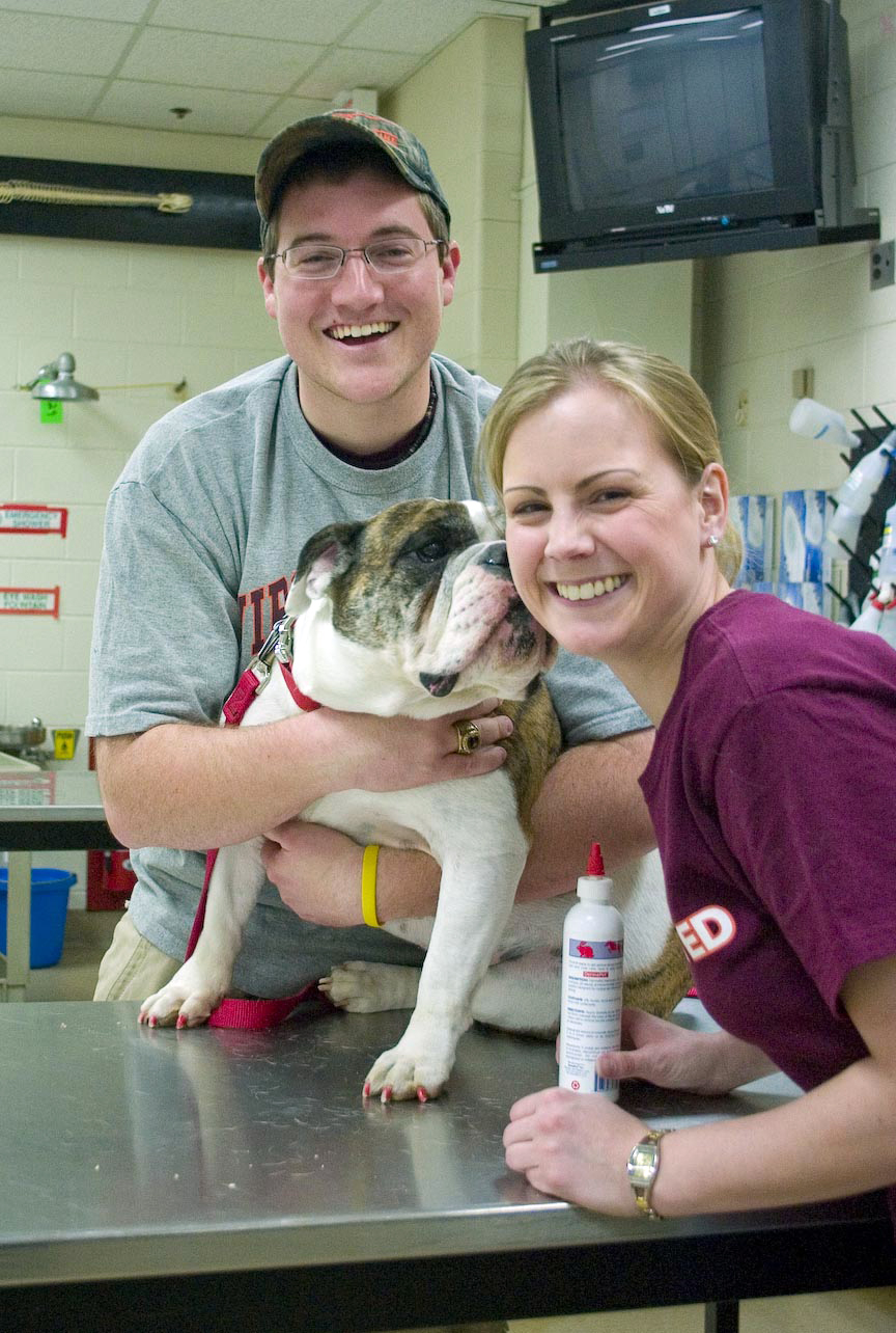 A dog is washed by two students.
