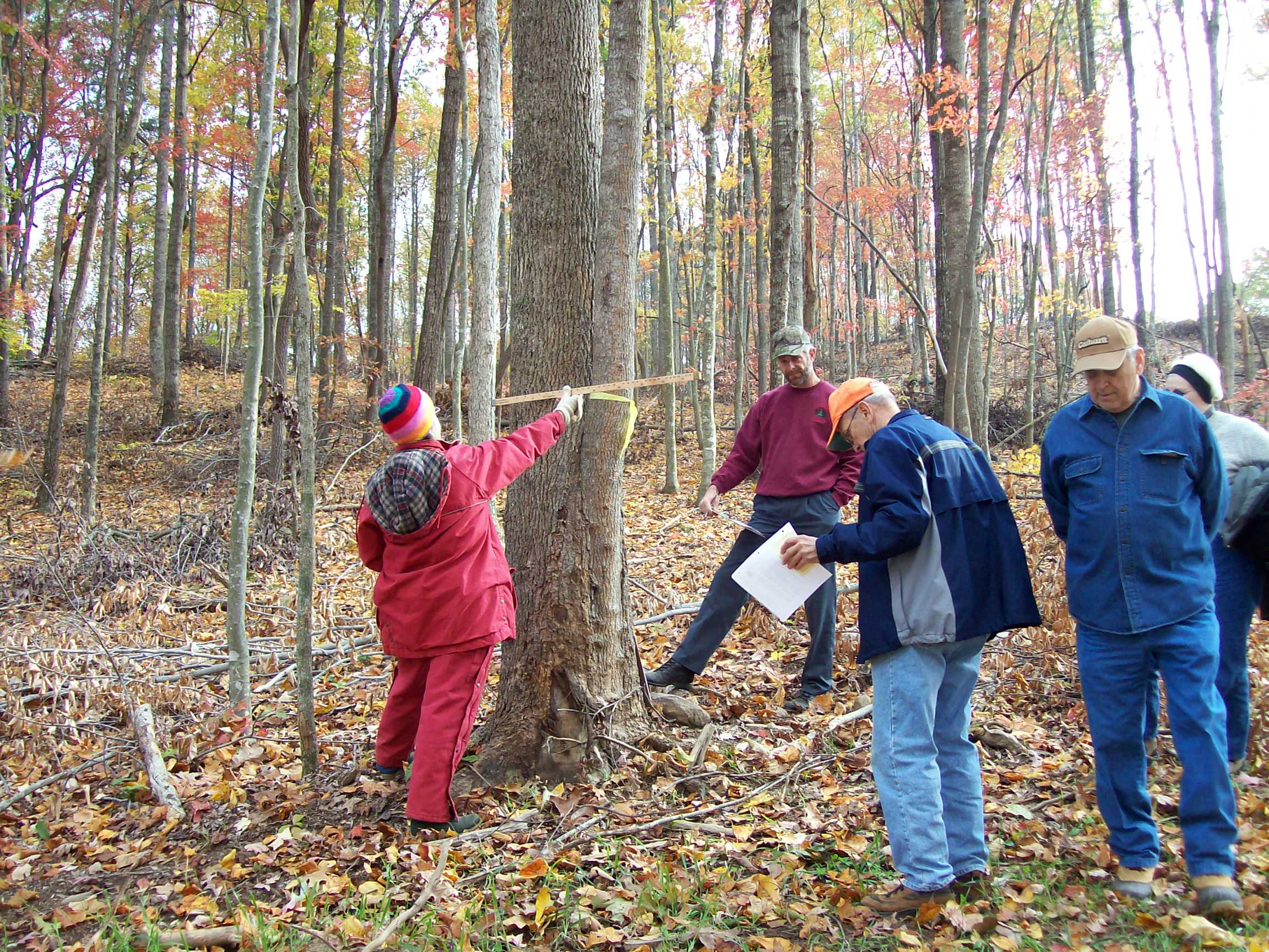 Participants in a Sustainable Timber Harvesting and Marketing short course held in Bedford learn to measure timber using a Biltmore stick.