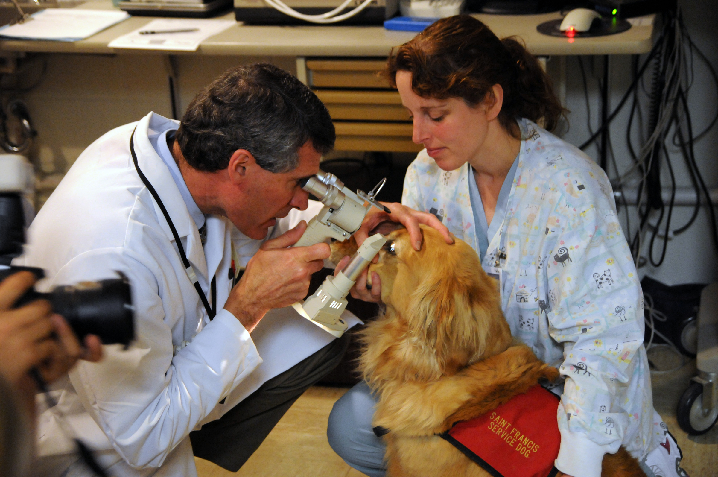 Dr. Phil Pickett examines a St. Francis Foundation service dog.