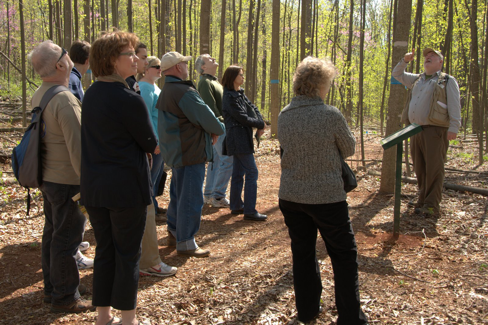 A group of people standing next to an interpretive sign in the woods.