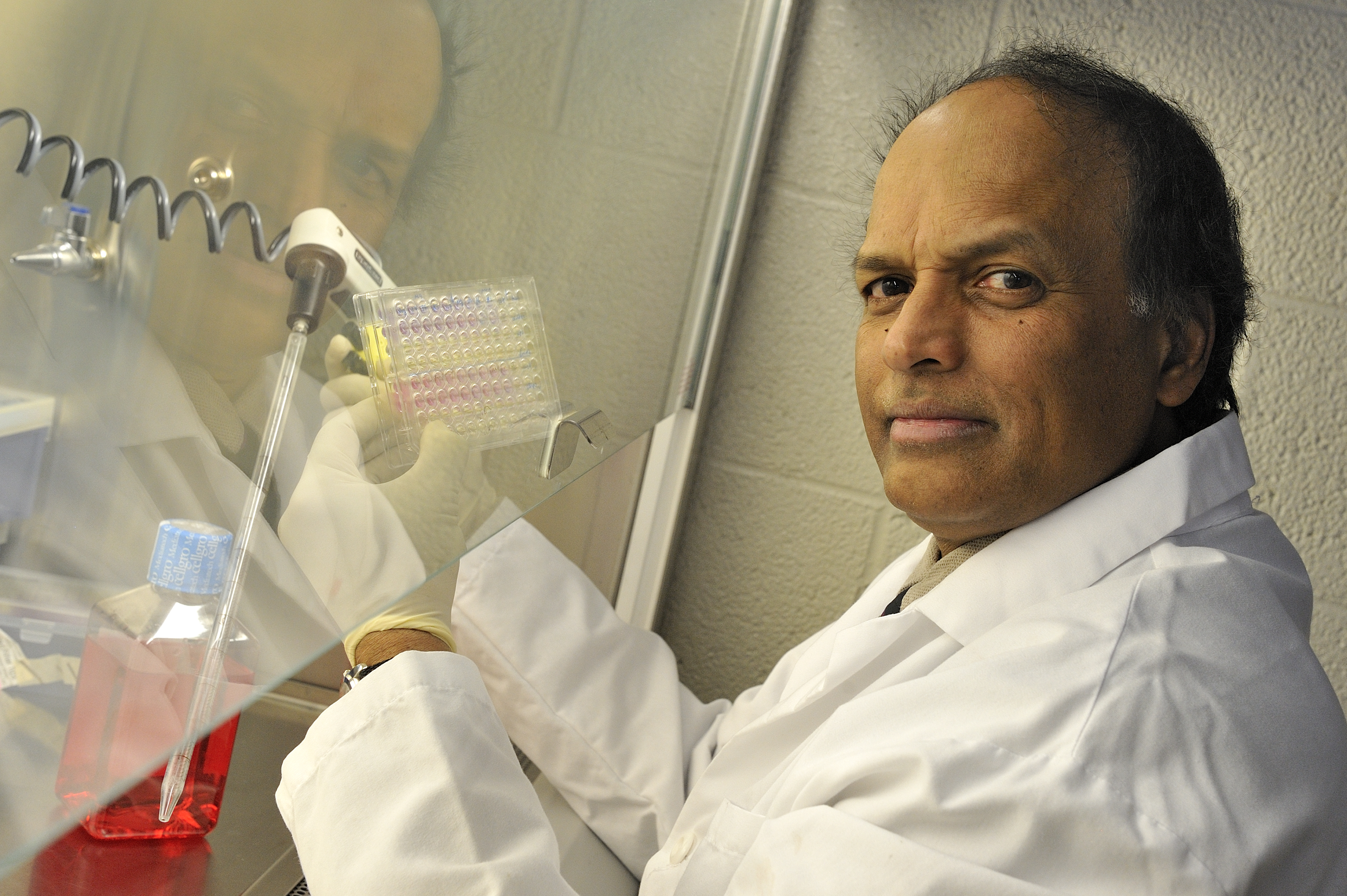 Dr. S. Ansar Ahmed in the lab