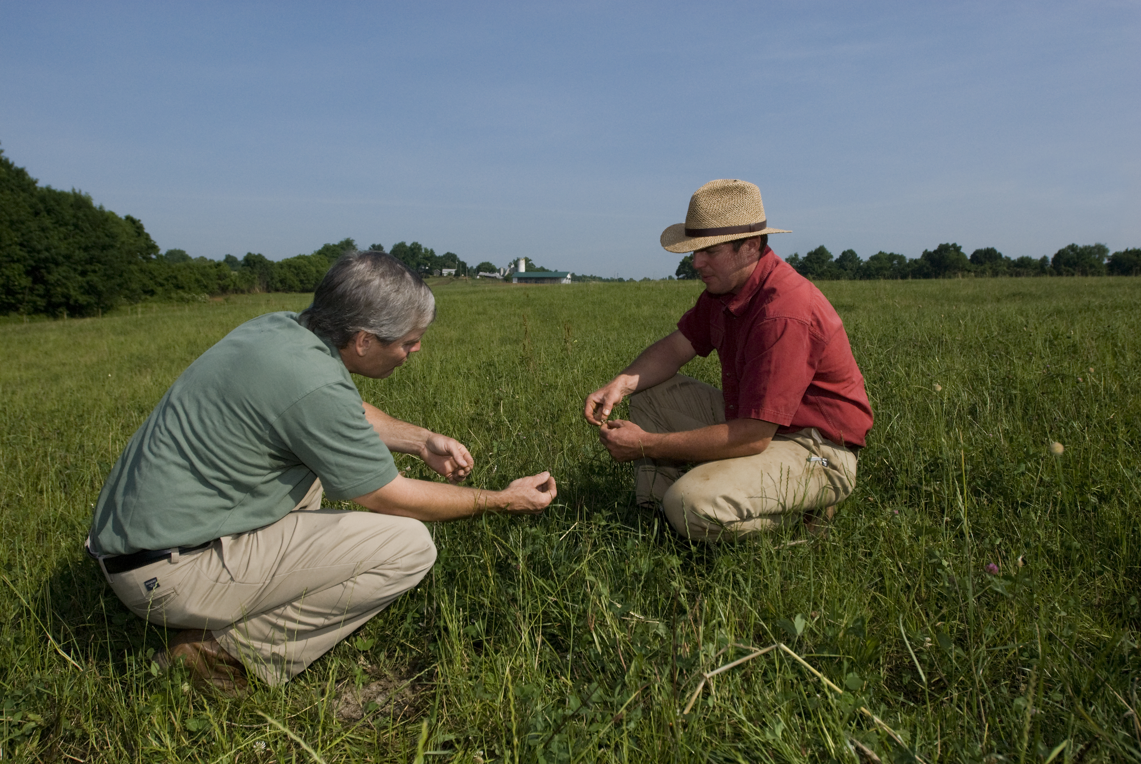 Carl Stafford with producer in pasture looking at grass