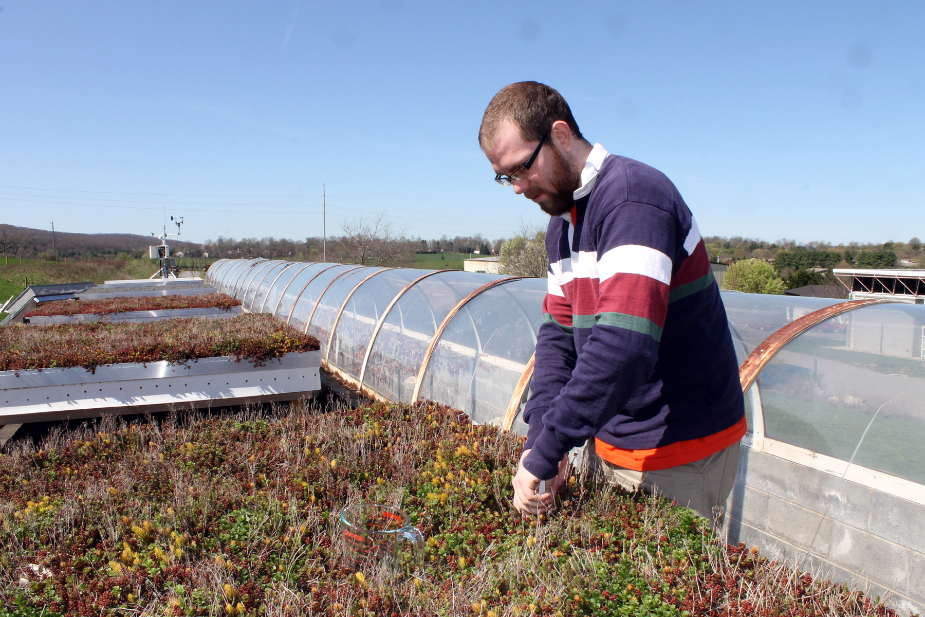 Taking soil samples from green roof modules
