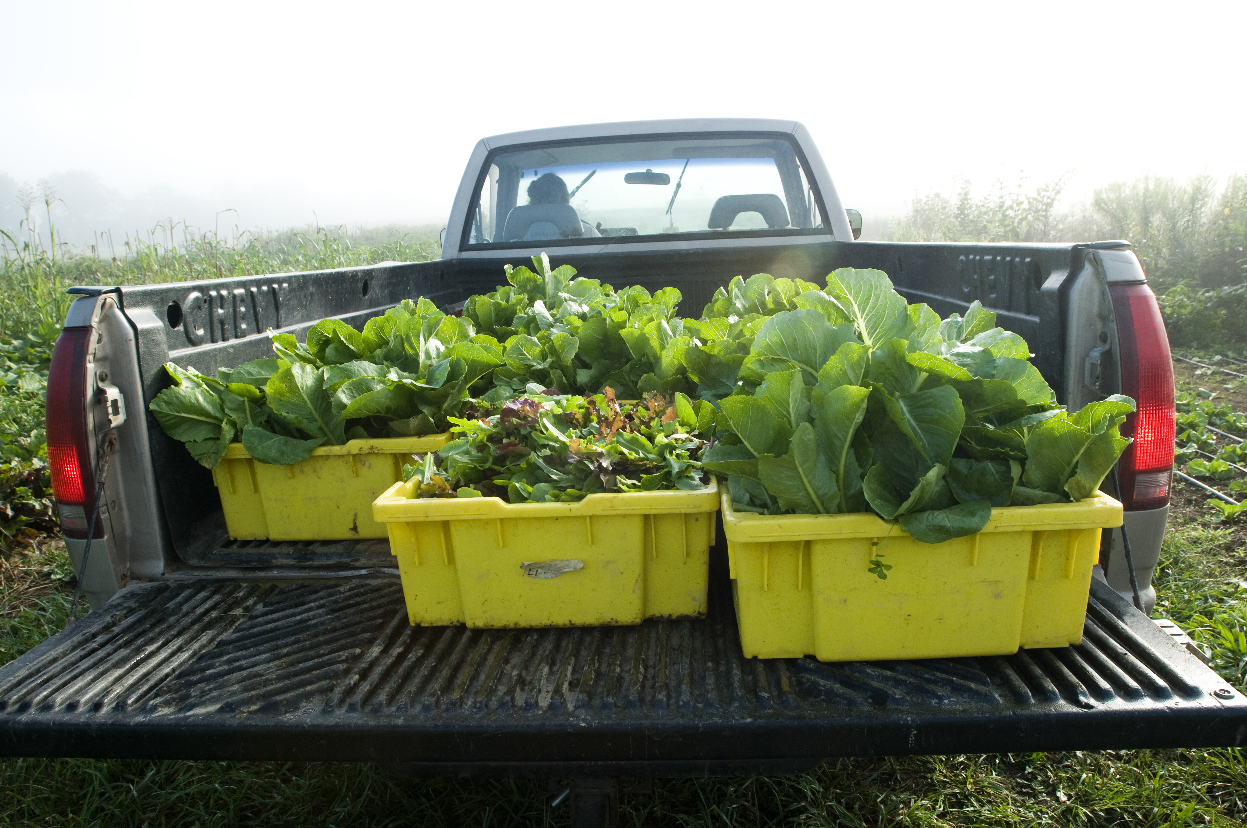 A truck carries Kentland Farm produce.
