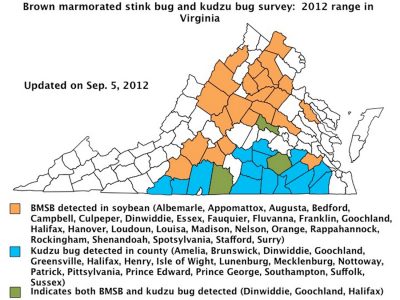 A map shows in the investation of the brown marmorated stink bug and the kudzo bug. 