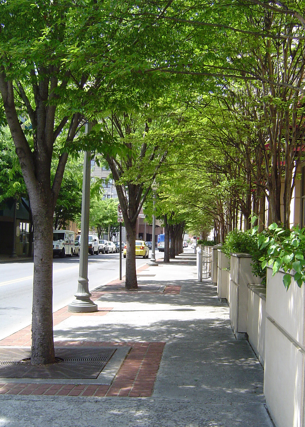 A tree-lined street in an urban area.