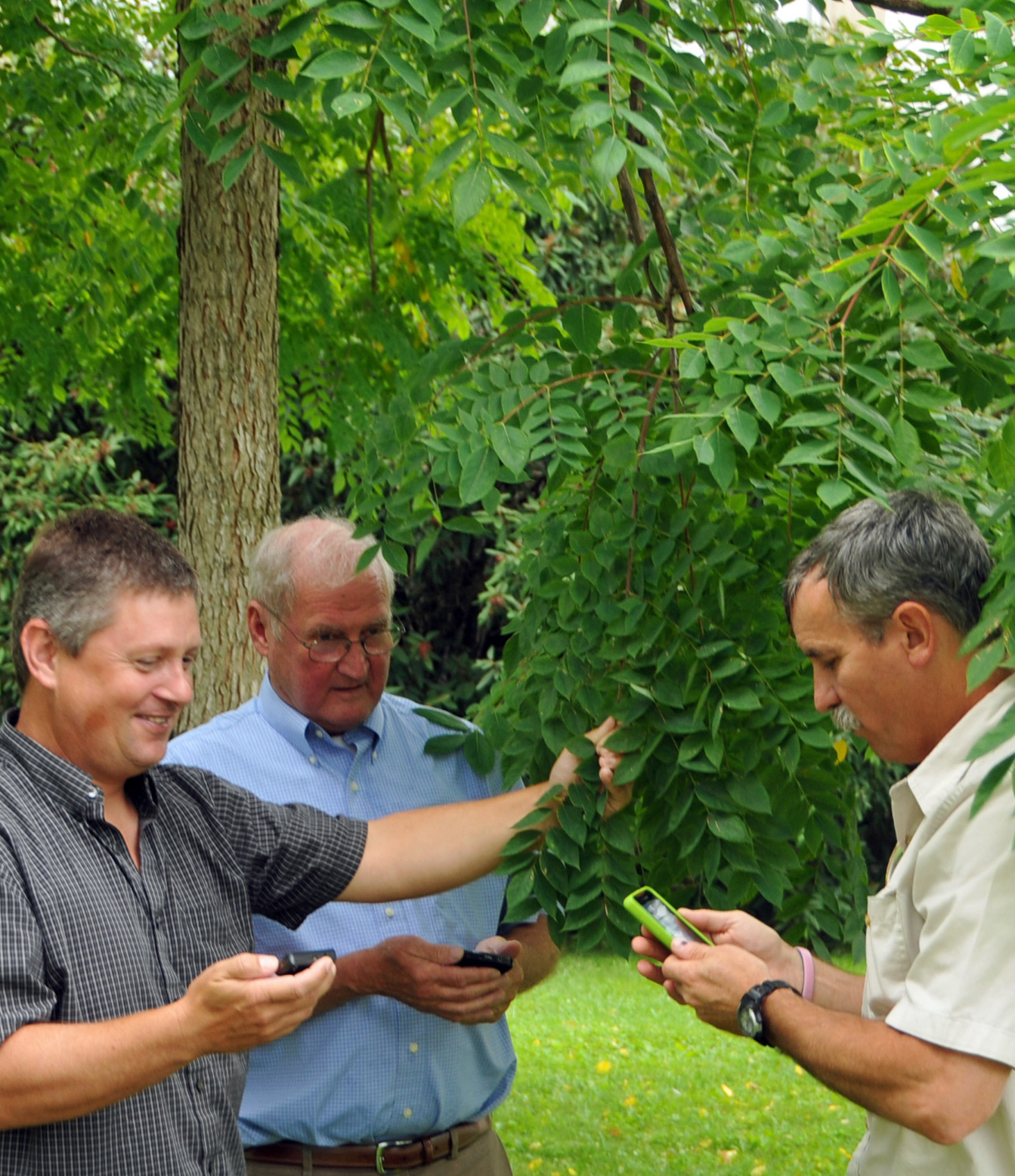 John Peterson, Bob Potts, and John Seiler standing near a tree. Each is holding a smartphone.