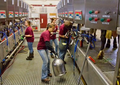 Dining Services partners with Dairy Science to provide Virginia Tech milk.