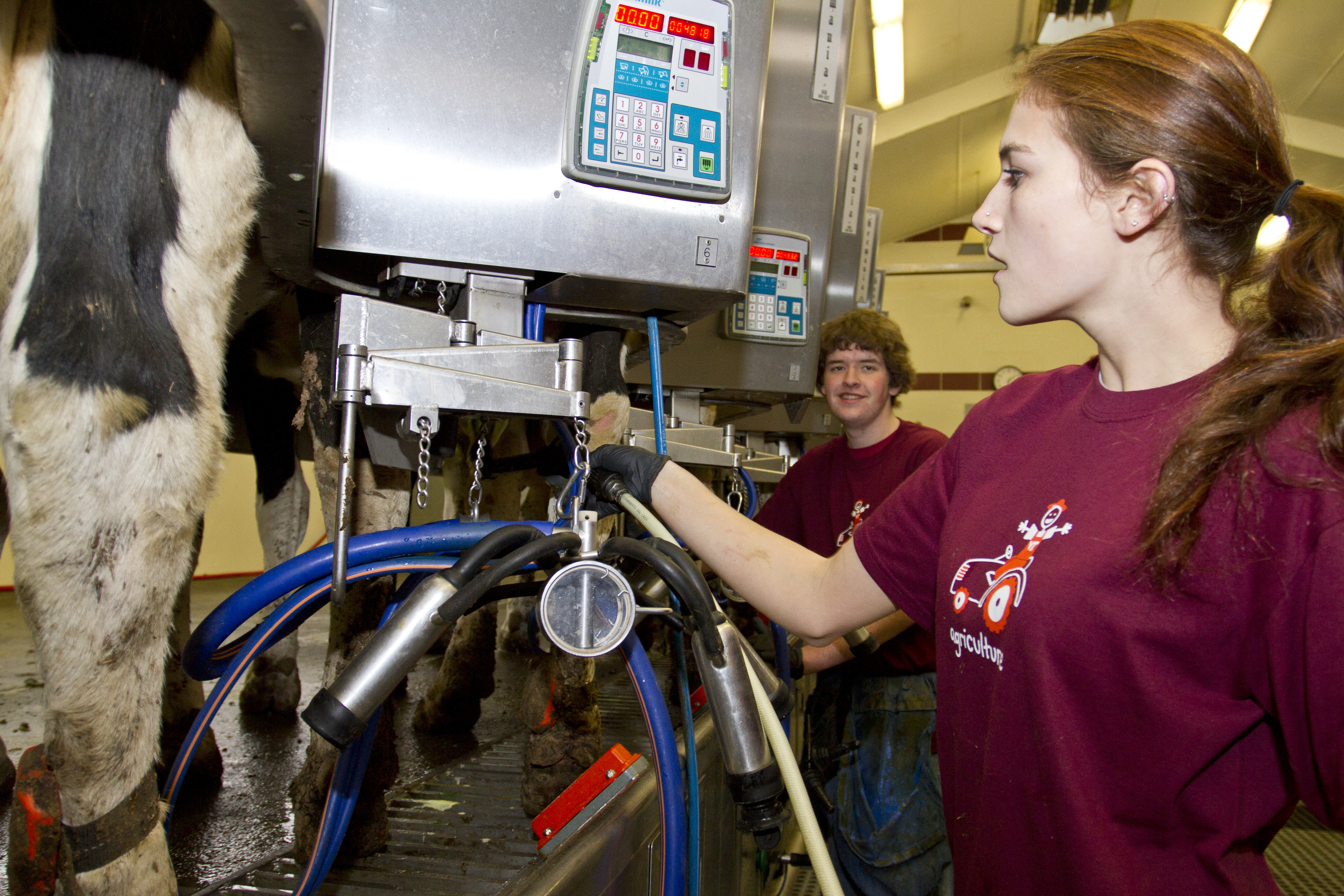 Close-up of students and new milking technology