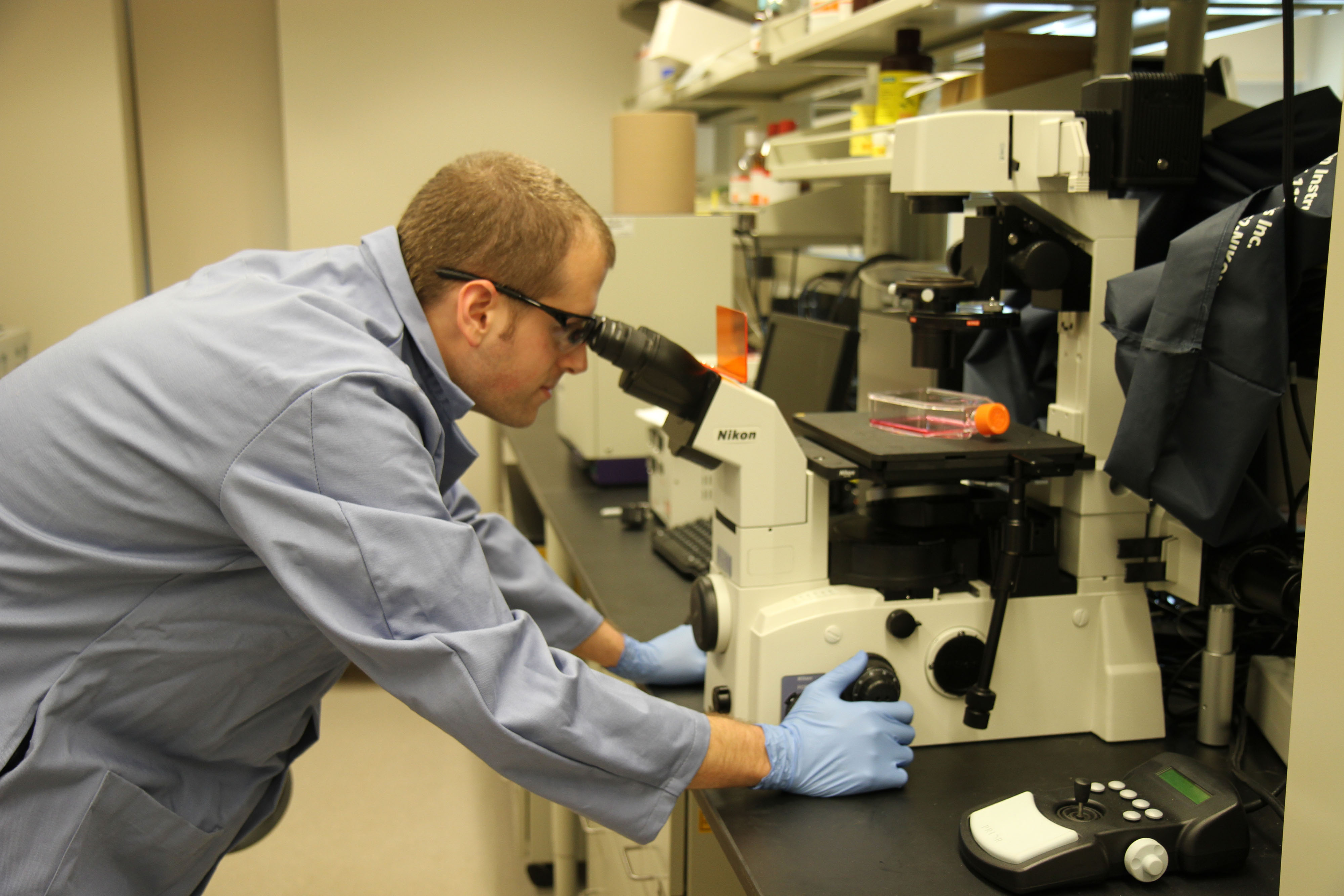 Sean Hemp actively grows HeLa cell cultures in Timothy E. Long's lab.