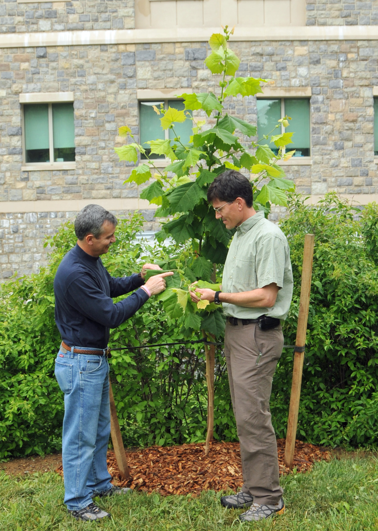 John Seiler and Eric Wiseman standing next to a small tree.